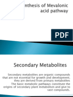 Biosynthesis of Mevalonic Acid Pathway