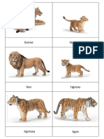 Carte Nomenclature Animaux D - Afrique PDF