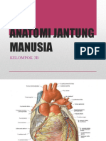 Anatomi Jantung Manusia SK 3