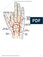 Hand Artery Diagram from Gray's Anatomy