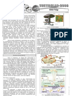 Biologia - Pré-Vestibular Impacto - Reino Fungi I