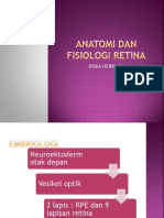 Anatomi Dan Fisiologi Retina