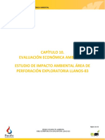 Capitulo 10. Evaluacion Economica Ambiental