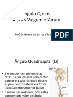 anguloq.pdf