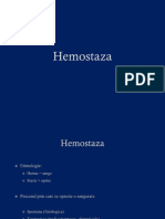 Hemostaza_v2