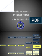 Fasciola Hepatica & The Liver Flukes: Dr. Said Munazar Rahmat