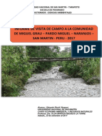 Informe de Visista de Campo - Miguel Grau - Naranjos