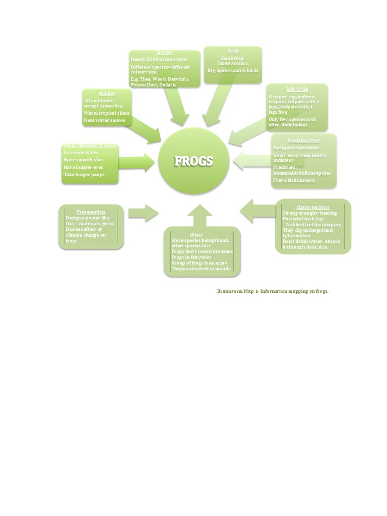 Frog Habitat and Life Cycle Mind Map | PDF | Frog | Vertebrates