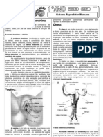 Biologia - Pré-Vestibular Impacto - Sistema Reprodutor - Humano