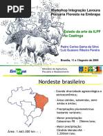 Estade Da Arte Caatinga