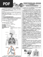 Biologia - Pré-Vestibular Impacto - Sistema Respiratório