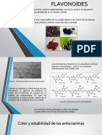 Presentacion Flavonoides y Betalaínas