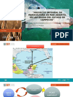 Aqua PowerPoint Template PANAMÁ2