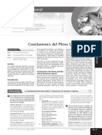 Conclusiones Pleno PDF