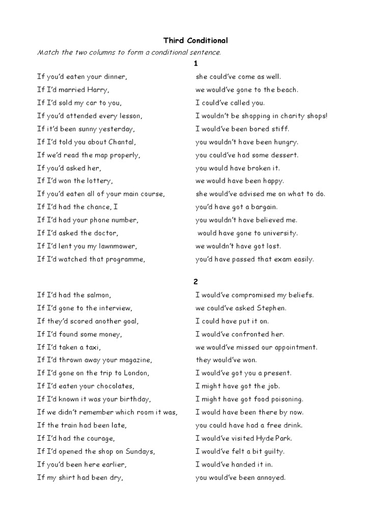 Third Conditional | PDF