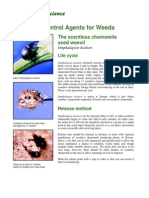 Biological Control Agents for Weeds