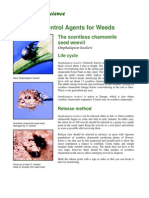 Biological Control Agents For Weeds