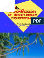 17.Pathophysiology of Kidneys. Kidney Ins..
