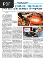 Formigas ganham importância com extinção maciça de espécies