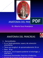 12 Anatomia Del Pancreas