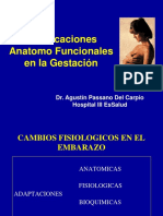 1b Modificaciones Anatomofuncionales en Gestacion