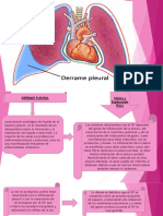 Diapos de Pleura