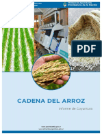 Informe ARROZ Marzo 2016.pdf