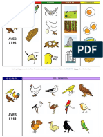 Carta de Campo Semantico-Aves.pdf