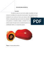 Refinado del aceite de palma: proceso y reacciones secundarias