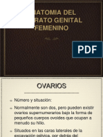 Anatomia Aparato Genital Femenino