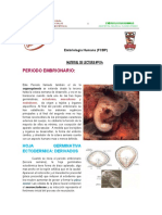 PERIODO_EMBRIONARIO.pdf
