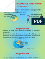 Caracteristicas de Los Seres Vivos