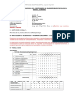 Modelo Informe CUMANIN