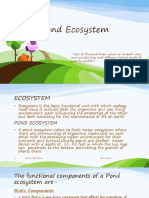 Pond Ecosystem.pptx