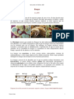 31 Hongos General Texto PDF