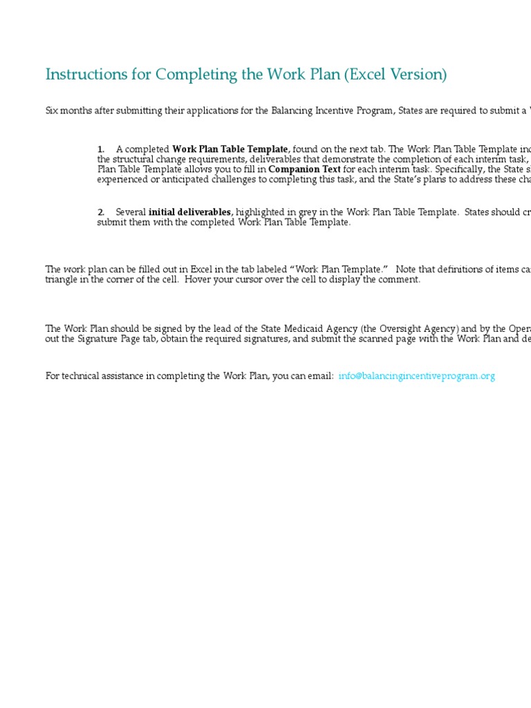 Instructions For Completing The Work Plan (Excel Version) | PDF
