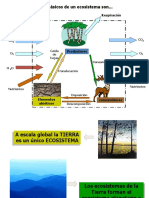 Zonas Biogeiograficas y Zonas Climaticas