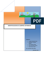 Practica Cuerpos Cetonicos 1