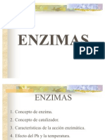 Enzimas