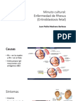 Enfermedad de Rhesus