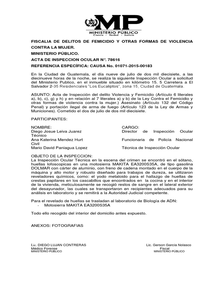 DIGECAM  Expert Witness  Psychology & Cognitive Science