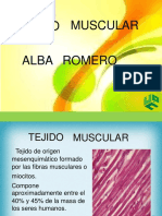 Diapossitica T Muscular