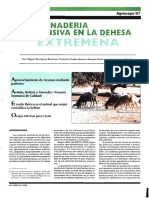 La Ganadería Extensiva en La Dehesa Extremeña Por Antonio Rodríguez de Ledesma Vega, Miguel Escribano Sánchez, Francisco Pulido García En: Agricultura: Revista Agropecuaria, #774, 1997, P. 40-48