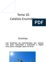Catalisis Enzimatica BN
