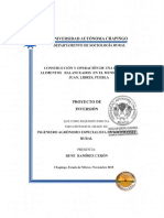 2015-Contruccion y Operacion de Una Planta de Alimentos Balanceados en El Municipio de San Juan Libres Puebla PDF