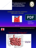 Enfermedades Del Intestino Delgado y Grueso en Paciente Pediatrico