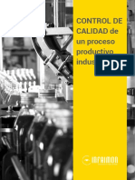 Control de Calidad en El Proceso Productivo