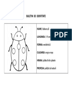 Buletin de Identitate Al Buburuzei