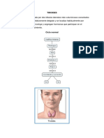 BOCIO - anatomia atologica.docx