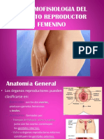 Sistema Reproductor Femenino